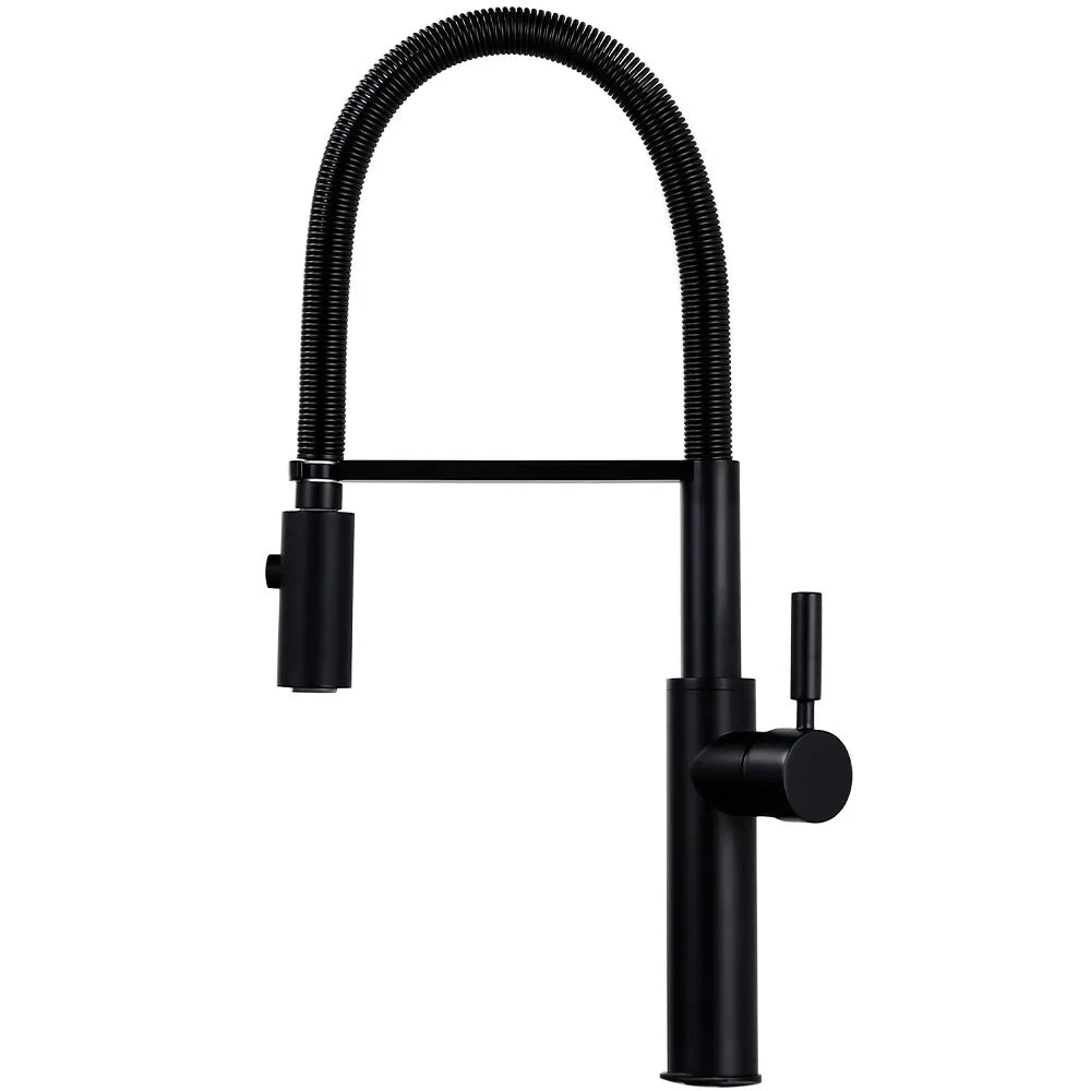 Brushed Nickel Brass Sink Black hose Mount Pull Down Dual Sprayer Nozz ...